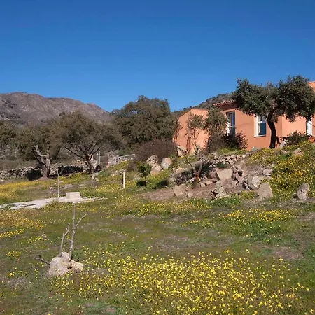 度假居 El Rabilargo *