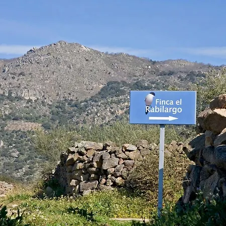 El Rabilargo *